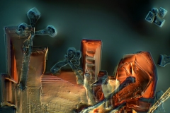 360. Limonczello i sos sojowy / Limoncello and soy sauce