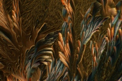 354. Beta alanina i L-glutamina / Beta alanine and L-glutamine