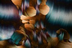 347. Beta alanina i L-glutamina / Beta alanine and L-glutamine