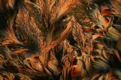 348. Beta alanina i L-glutamina / Beta alanine and L-glutamine