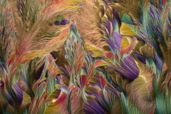 346. Beta alanina i L-glutamina / Beta alanine and L-glutamine