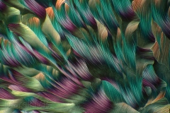 352. Beta alanina i L-glutamina / Beta alanine and L-glutamine